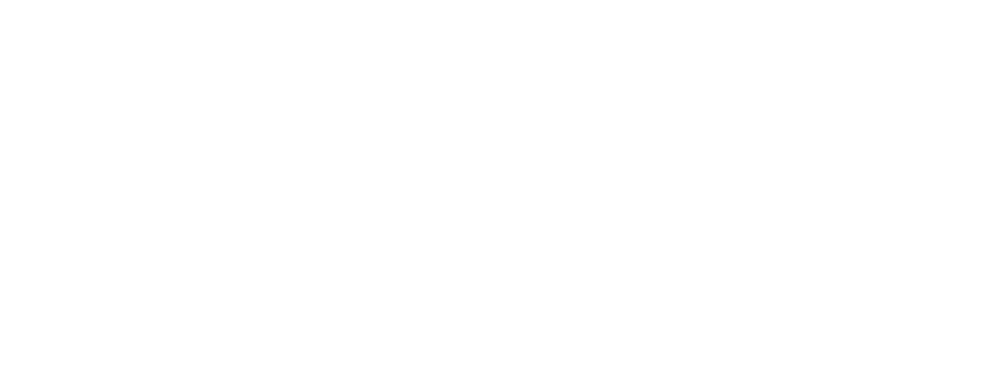 SHW Schmiedetechnik Logo Wortmarke Weiß